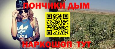 прущие грибы Жуковский