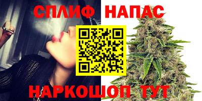 mdpv Заводоуковск