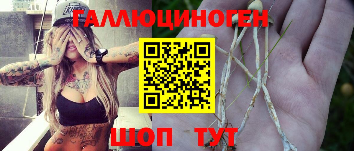 Люберцы  Галлюциногенные грибы Psilocybine cubensis  Вход с VPN 